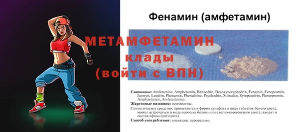 индика Богородицк