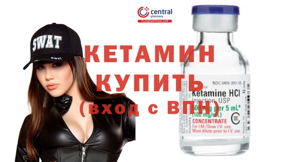 индика Богородицк