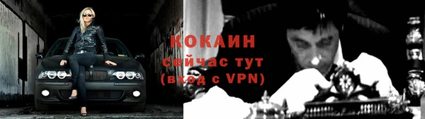 индика Богородицк
