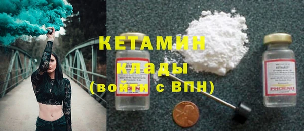 индика Богородицк