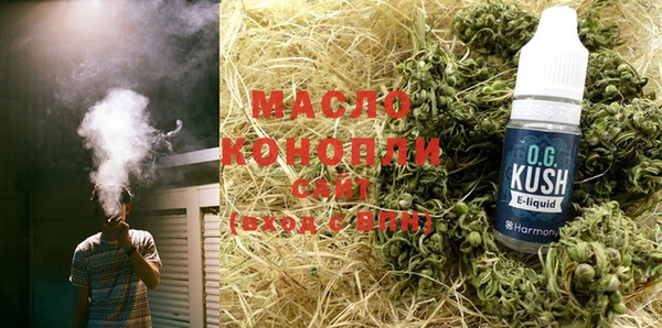 индика Богородицк