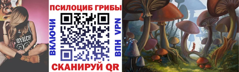 Псилоцибиновые грибы мухоморы  блэк спрут рабочий сайт  Волжск  купить закладку 